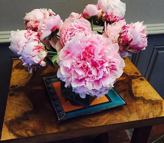 Chateau De Briailles - D'hotes Bed & Breakfast